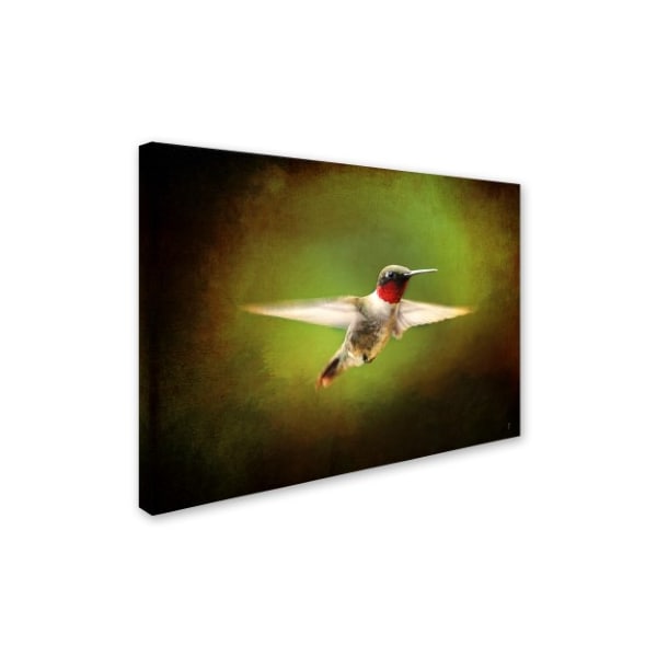 Jai Johnson 'Portrait Of A Hummingbird In Flight' Canvas Art,24x32